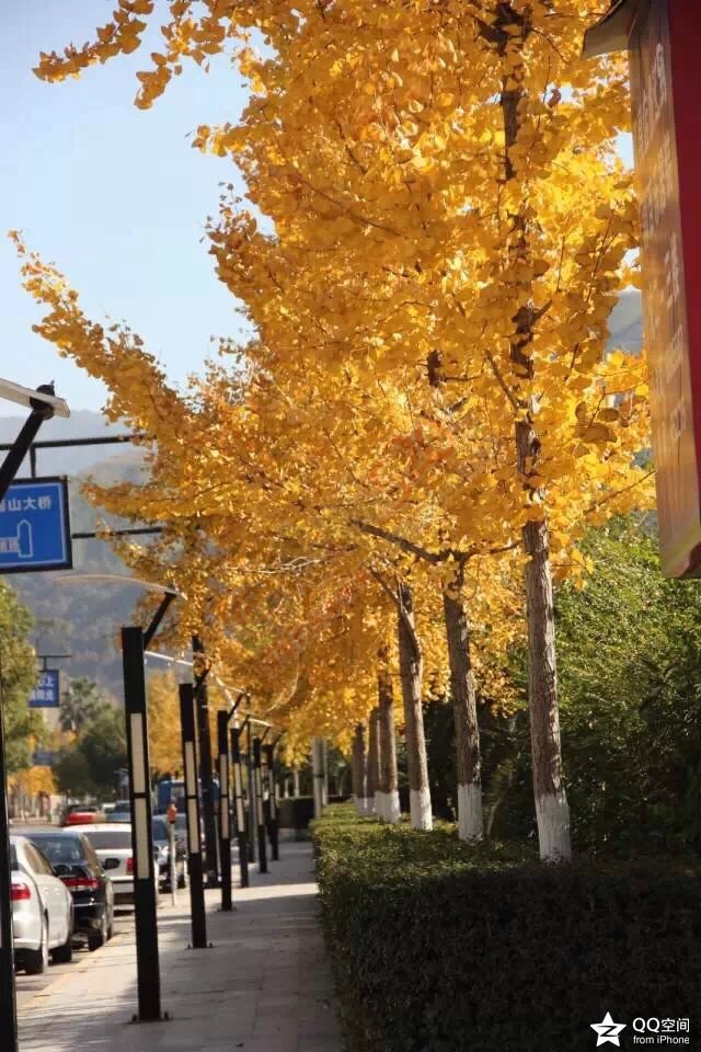 看图猜成语，奖励金币【NO.8】829 / 作者:小雨点 / 帖子ID:106198