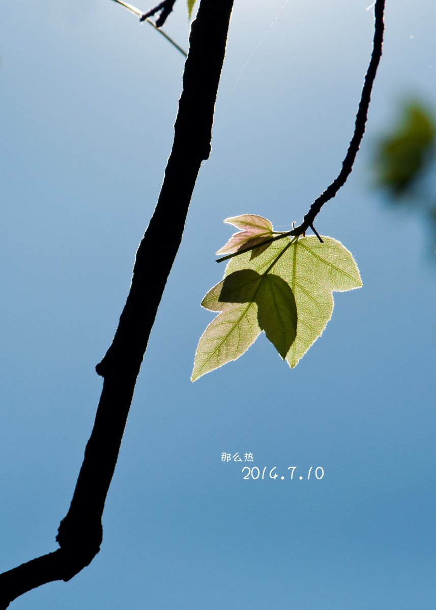 2012年新买单反 自用机.套装尼康 D90 搭配 18-105 镜头 转让，1原充.1原电.1副电，...957 / 作者:光纪年华 / 帖子ID:107487