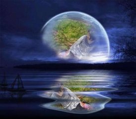 镜中花，水中月，虽然赏心悦目，却非永恒。186 / 作者:建筑19551213 / 帖子ID:107668