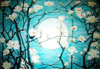 镜中花，水中月，虽然赏心悦目，却非永恒。556 / 作者:建筑19551213 / 帖子ID:107668