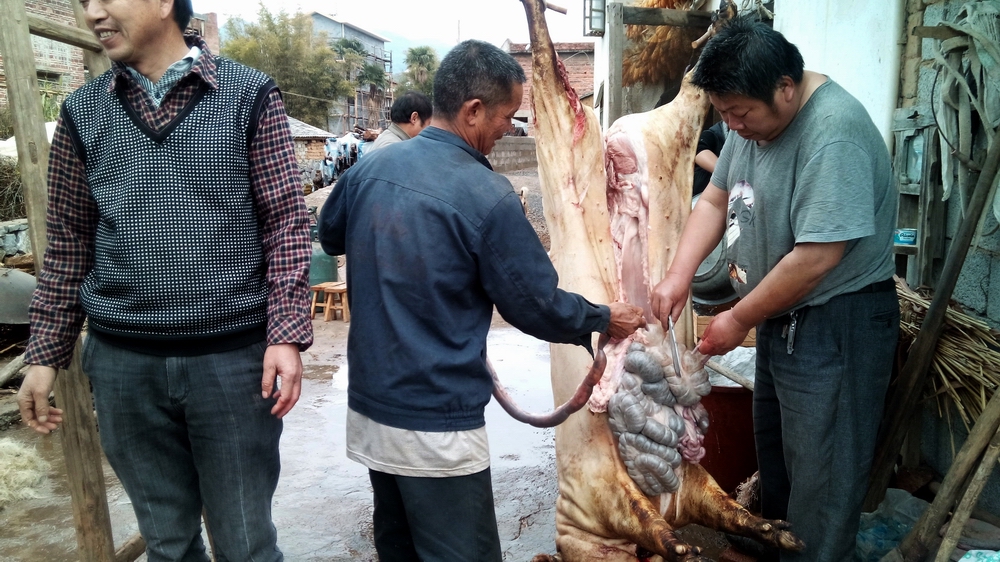 过年了（手机随拍）590 / 作者:柚子壳※ / 帖子ID:107686