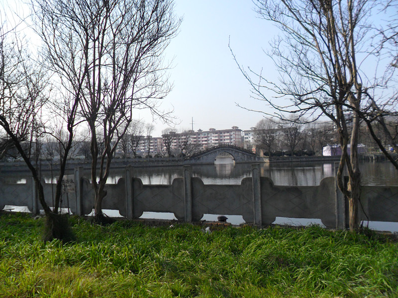 冬日公园随拍174 / 作者:建筑19551213 / 帖子ID:108964