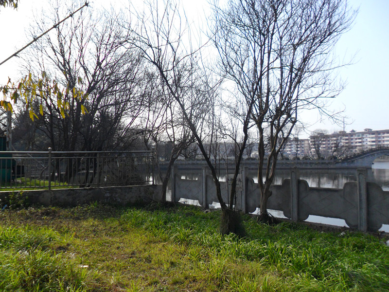 冬日公园随拍246 / 作者:建筑19551213 / 帖子ID:108964