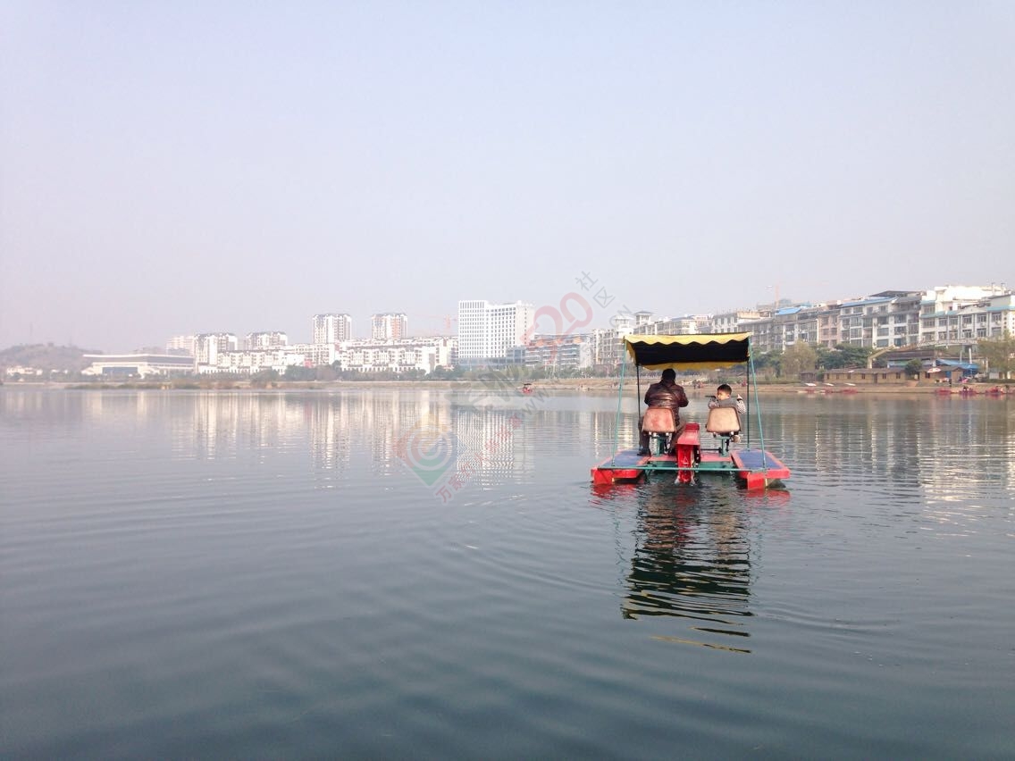 无聊的日子738 / 作者:桂花糕 / 帖子ID:108970