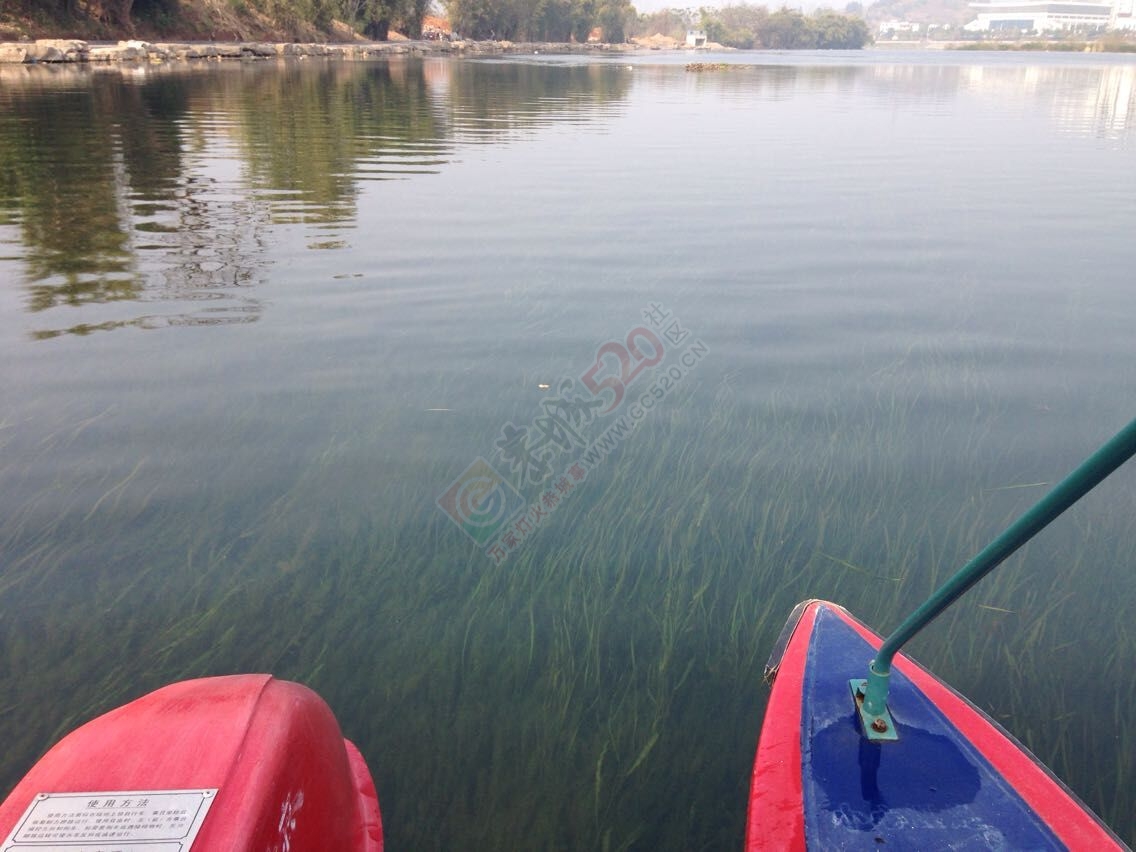 无聊的日子55 / 作者:桂花糕 / 帖子ID:108970