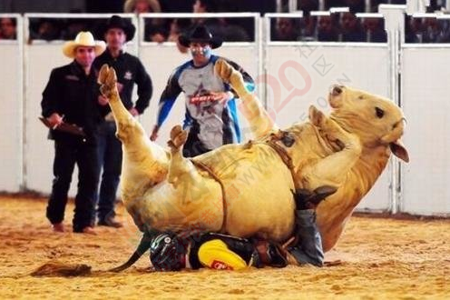 偷个情我容易嘛我。。。见过倒霉的，没见过这么倒霉的！350 / 作者:thkfh / 帖子ID:109063