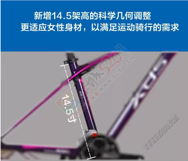 时尚精英女士首选——喜德盛运动自行车传奇500女款浓情上市！851 / 作者:晨锘 / 帖子ID:111513