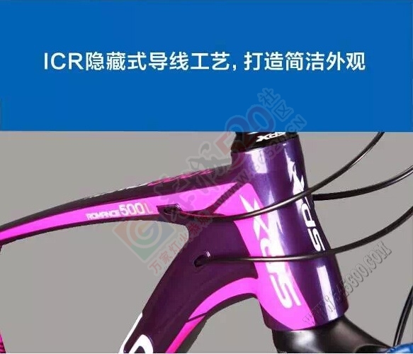 时尚精英女士首选——喜德盛运动自行车传奇500女款浓情上市！908 / 作者:晨锘 / 帖子ID:111513