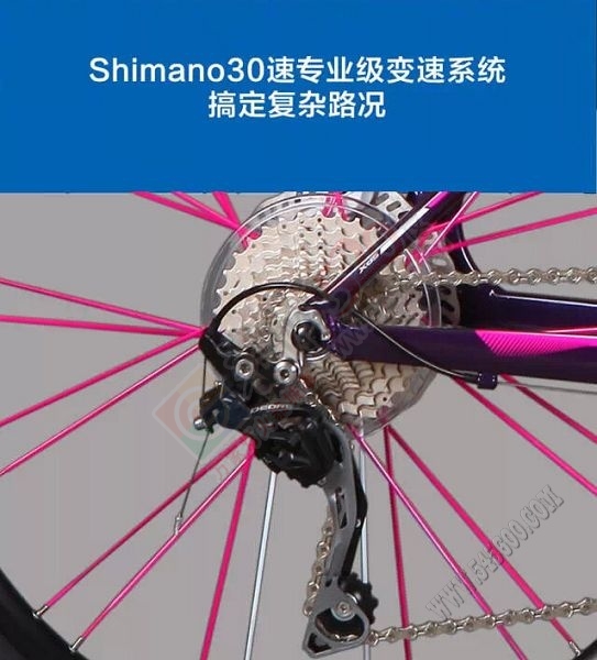 时尚精英女士首选——喜德盛运动自行车传奇500女款浓情上市！184 / 作者:晨锘 / 帖子ID:111513