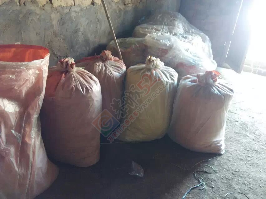 马蹄出售871 / 作者:坚强的硬汉 / 帖子ID:111526