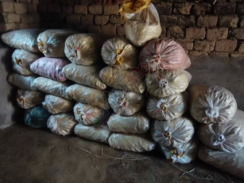 马蹄出售646 / 作者:坚强的硬汉 / 帖子ID:111526