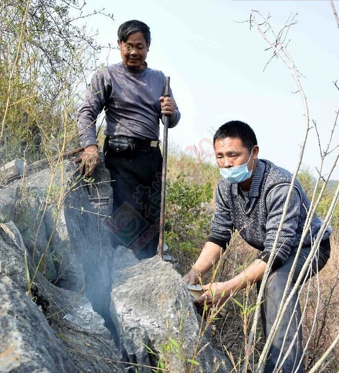 瑶乡“驯蜂人”772 / 作者:和平街林广 / 帖子ID:111617