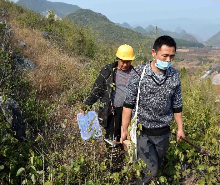 瑶乡“驯蜂人”780 / 作者:和平街林广 / 帖子ID:111617