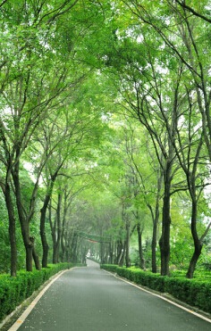 到北京雾灵山庄和新街口四合院宾馆，感受京味350 / 作者:qwfy5566 / 帖子ID:111634