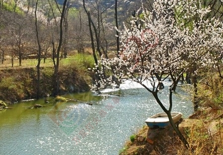 旅游分享:游昌平香屯村 住和义四合院宾馆218 / 作者:qwfy5566 / 帖子ID:111680