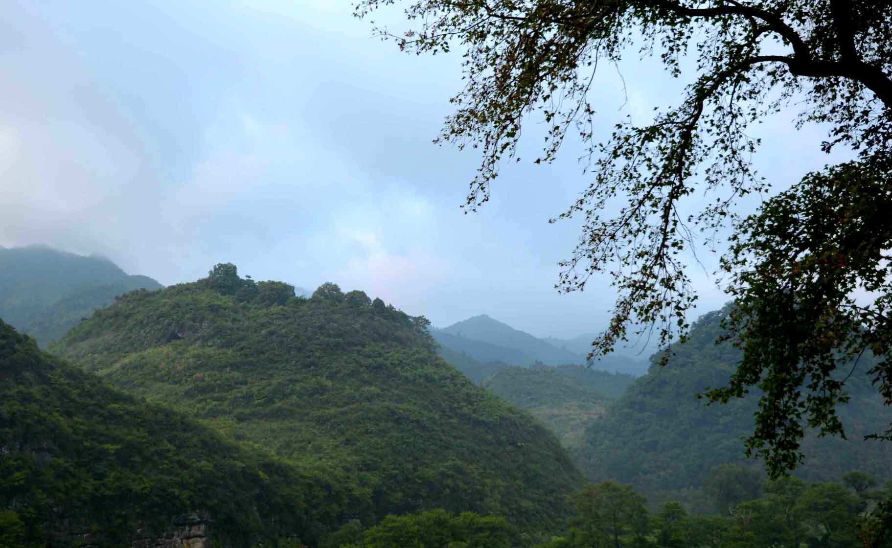 观音乡石坪村毛公山83 / 作者:奉何平川 / 帖子ID:111695