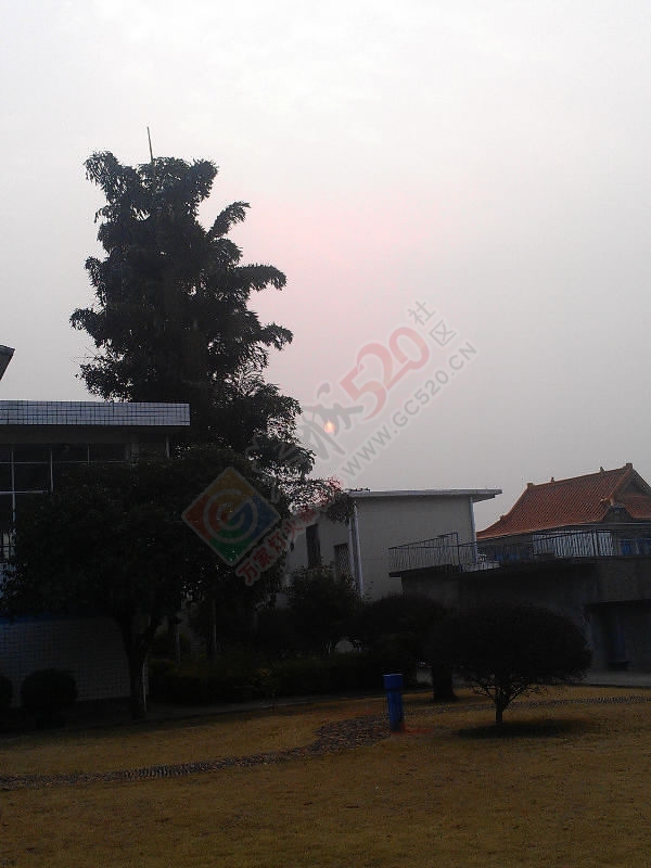 希望在明天905 / 作者:风轻云_gz0k8 / 帖子ID:111706