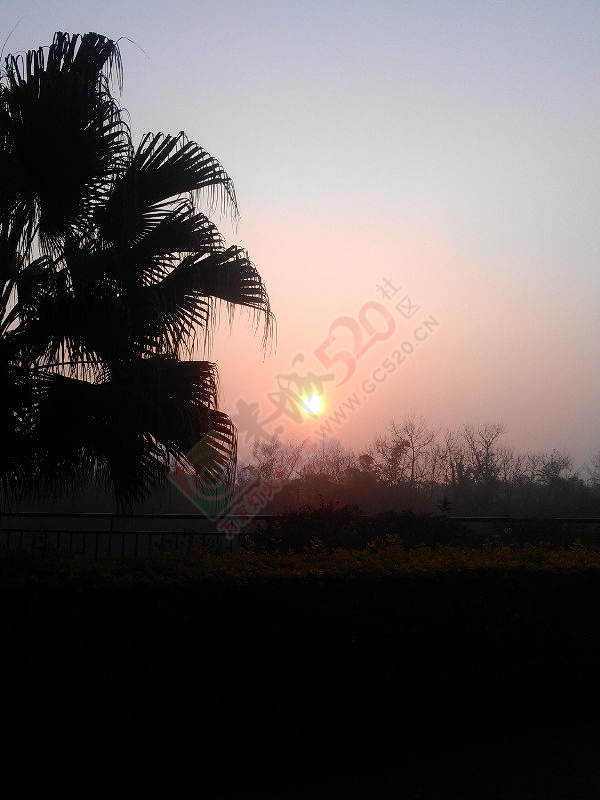 希望在明天73 / 作者:风轻云_gz0k8 / 帖子ID:111706