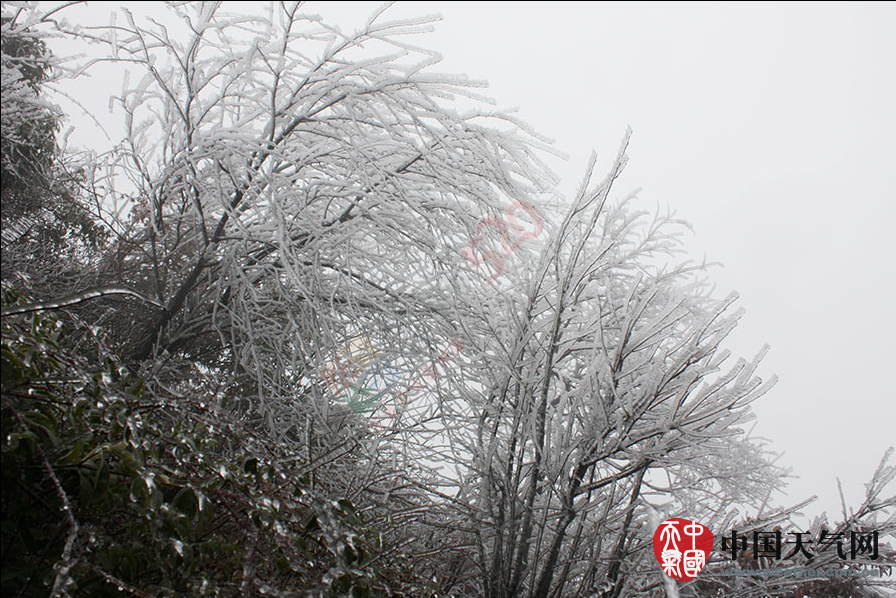 冷空气发威 全州资源高寒山区今年首次出现雾凇404 / 作者:和平街林广 / 帖子ID:111725