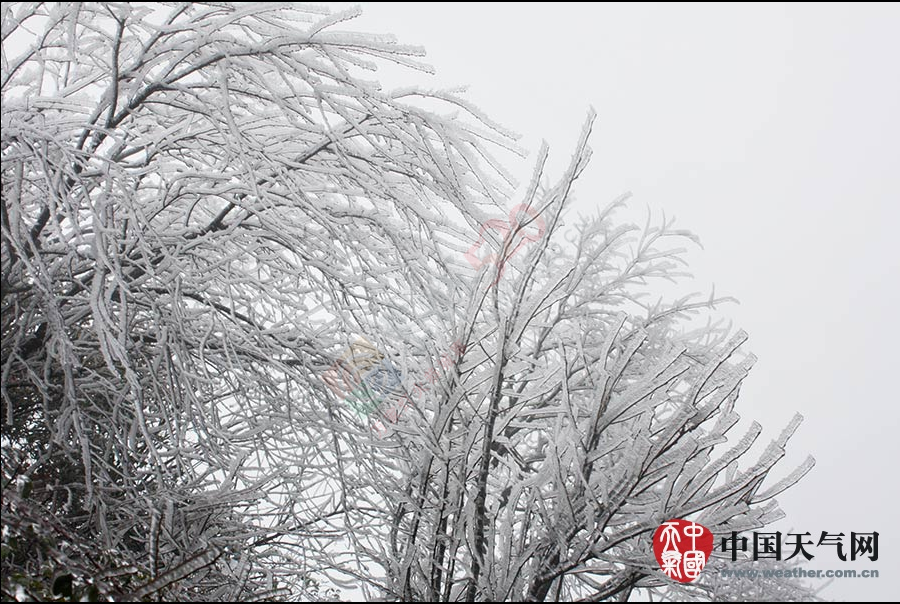 冷空气发威 全州资源高寒山区今年首次出现雾凇672 / 作者:和平街林广 / 帖子ID:111725