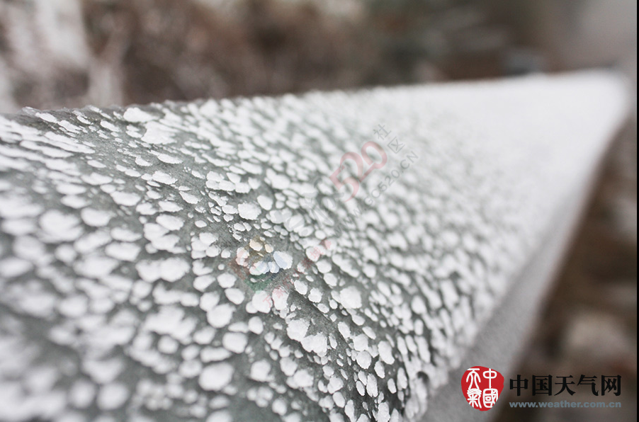 冷空气发威 全州资源高寒山区今年首次出现雾凇302 / 作者:和平街林广 / 帖子ID:111725
