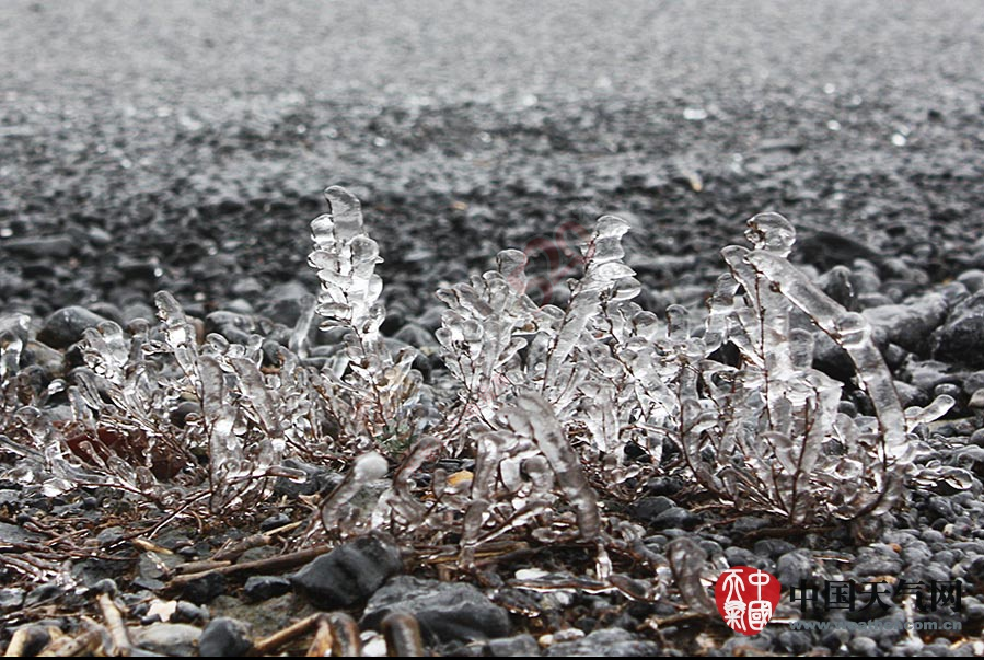 冷空气发威 全州资源高寒山区今年首次出现雾凇942 / 作者:和平街林广 / 帖子ID:111725