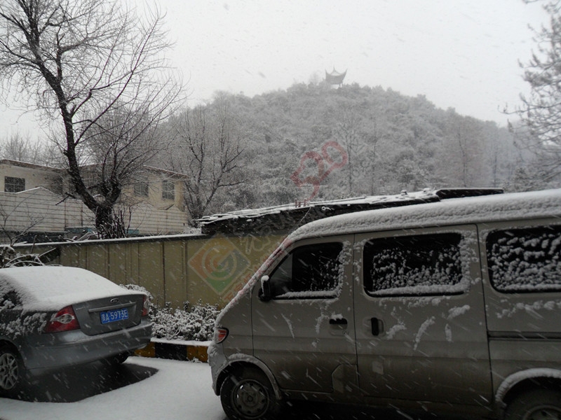 我们这里又下了一场雪…76 / 作者:建筑19551213 / 帖子ID:111744