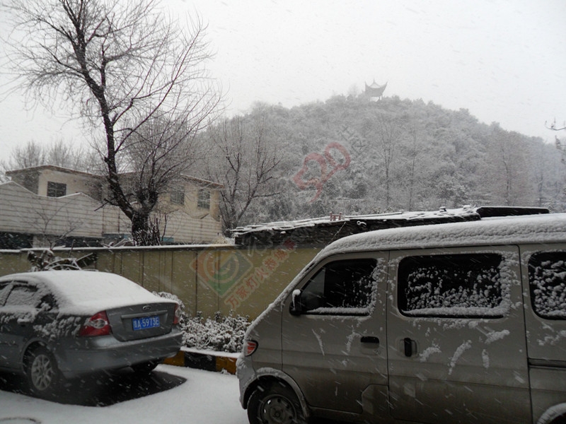 我们这里又下了一场雪…98 / 作者:建筑19551213 / 帖子ID:111744