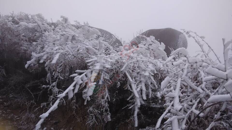 冷空气发威 全州资源高寒山区今年首次出现雾凇984 / 作者:敬哥哥 / 帖子ID:111725