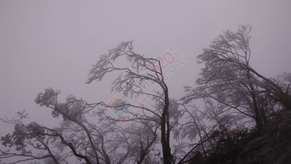 冷空气发威 全州资源高寒山区今年首次出现雾凇841 / 作者:敬哥哥 / 帖子ID:111725