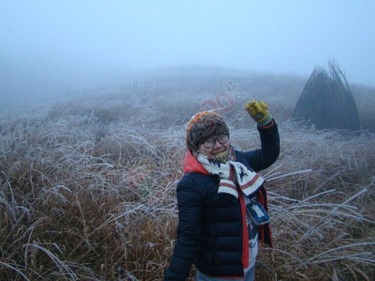 恭城的“北国风光”——银装素裹燕子山111 / 作者:若無其事 / 帖子ID:111759