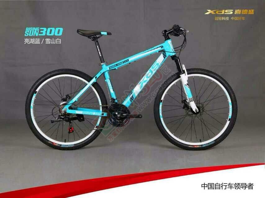 喜德盛自行车新品发布----传奇500L、旭日300957 / 作者:晨锘 / 帖子ID:111766
