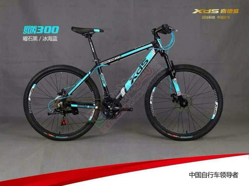 喜德盛自行车新品发布----传奇500L、旭日3002 / 作者:晨锘 / 帖子ID:111766
