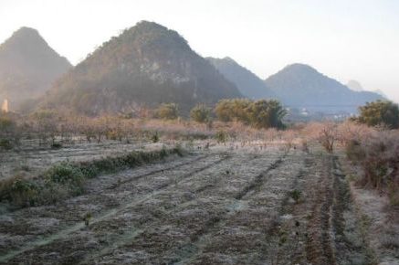 这到底是有多冷克了316 / 作者:奇葩处处有 / 帖子ID:111762