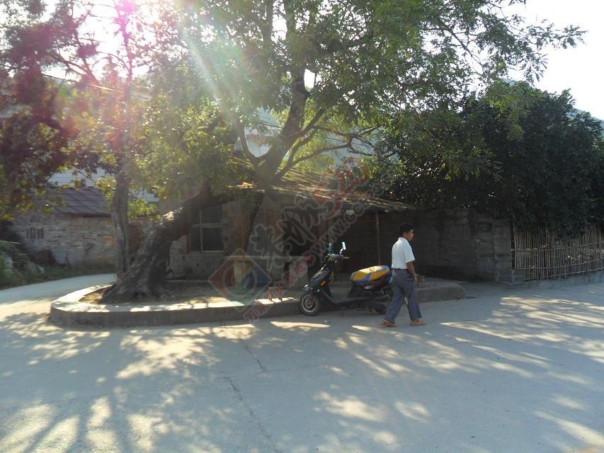 那迷了路就是为寻找美好！959 / 作者:建筑19551213 / 帖子ID:111771