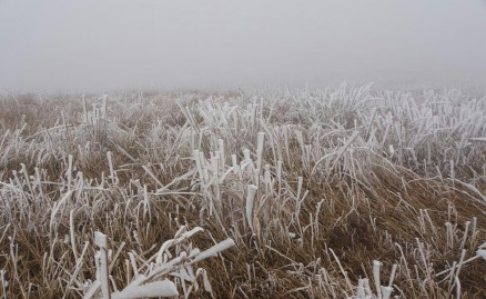 燕子山的雪景诱惑到我了，又想去的吗554 / 作者:黑白年代 / 帖子ID:111788