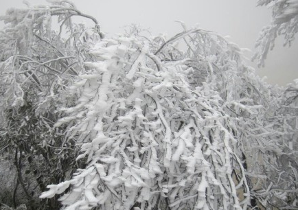燕子山的雪景诱惑到我了，又想去的吗256 / 作者:黑白年代 / 帖子ID:111788
