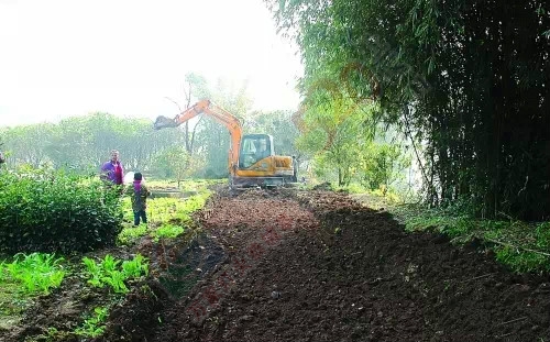 阳朔投资近亿元优化交通路网149 / 作者:和平街林广 / 帖子ID:111791