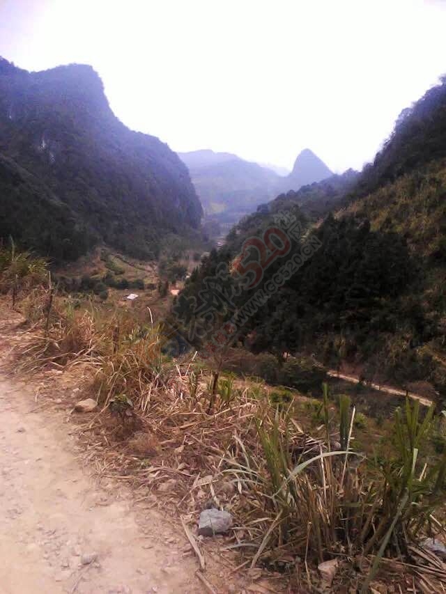 无聊瞎逛，冷死了700 / 作者:谁家小猪 / 帖子ID:111800