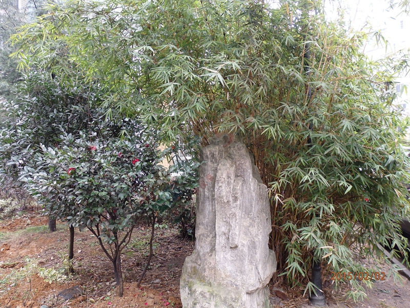 分点时间给大自然，到处在户外走走303 / 作者:建筑19551213 / 帖子ID:111818