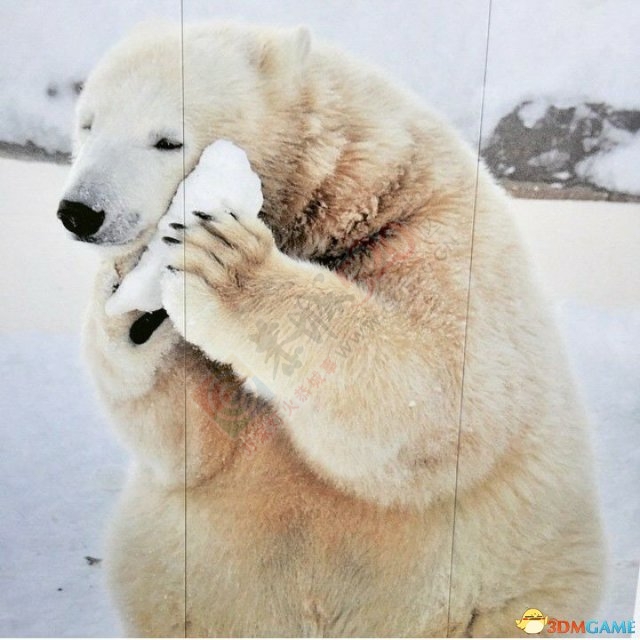 总算要下班了843 / 作者:油条配粥 / 帖子ID:111833