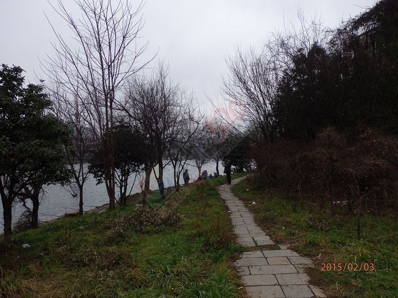 昨天出去走了走。看到这些钓鱼老头814 / 作者:建筑19551213 / 帖子ID:111843