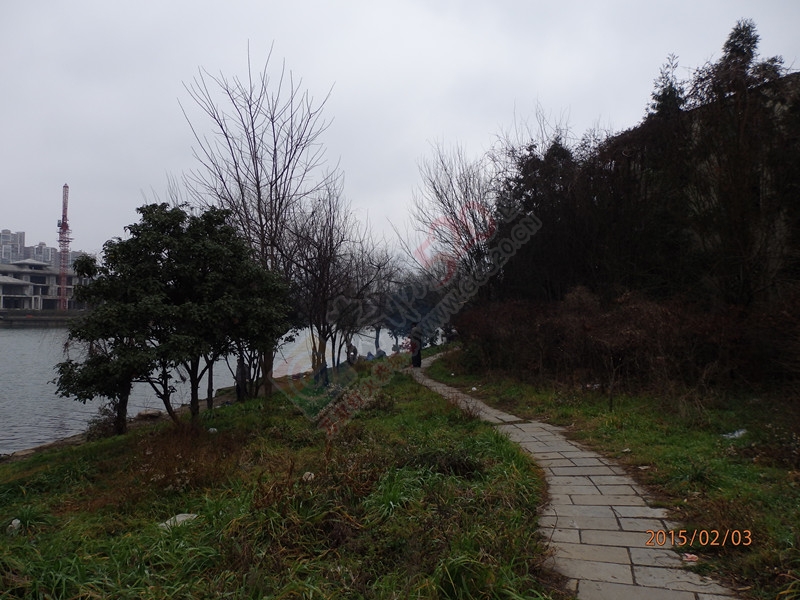 昨天出去走了走。看到这些钓鱼老头478 / 作者:建筑19551213 / 帖子ID:111843