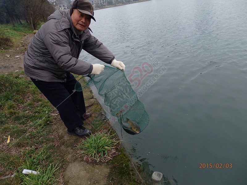 昨天出去走了走。看到这些钓鱼老头857 / 作者:建筑19551213 / 帖子ID:111843