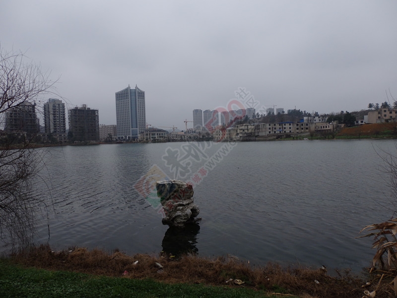 还是没有发现春天的脚步哟！…391 / 作者:建筑19551213 / 帖子ID:111875