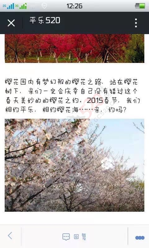 原来平乐也有樱花880 / 作者:黑白年代 / 帖子ID:111889