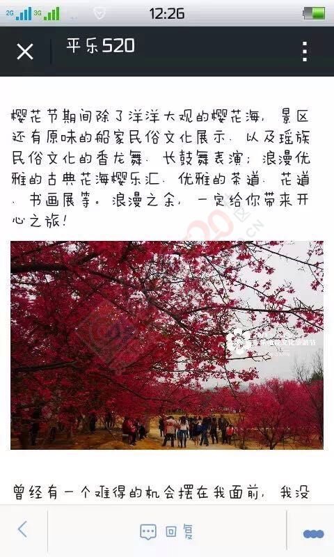原来平乐也有樱花407 / 作者:黑白年代 / 帖子ID:111889