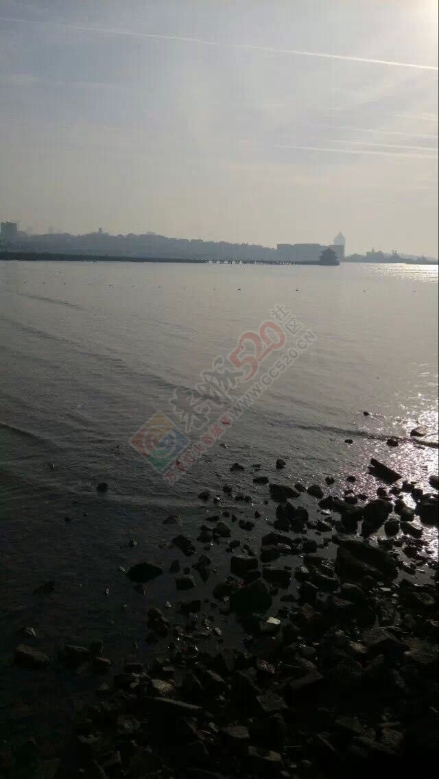 这是我不曾见过的风景983 / 作者:桂花糕 / 帖子ID:111929