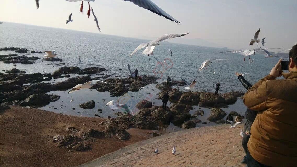 这是我不曾见过的风景329 / 作者:桂花糕 / 帖子ID:111929