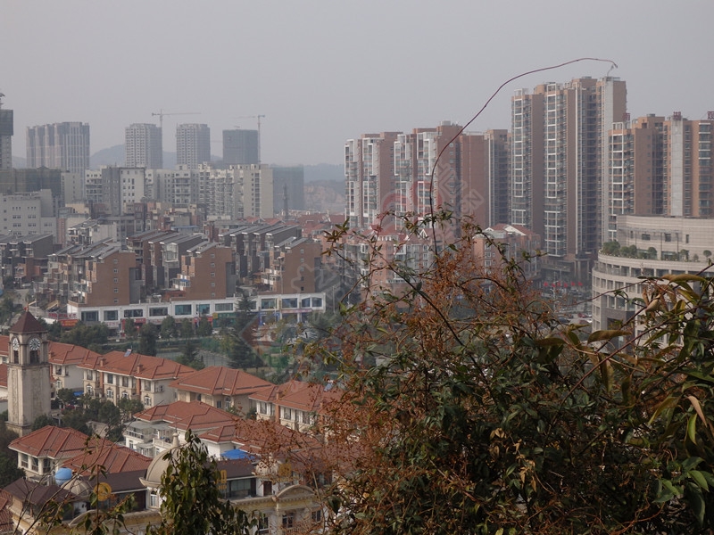 用自己的方式，活出开心快乐591 / 作者:建筑19551213 / 帖子ID:111968